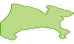 Kanagawa Map